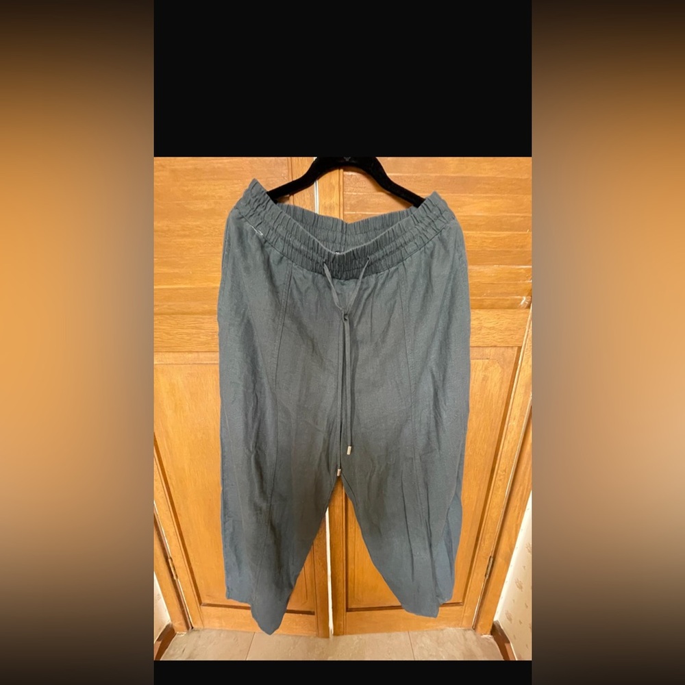 Zara Women Gray Pants